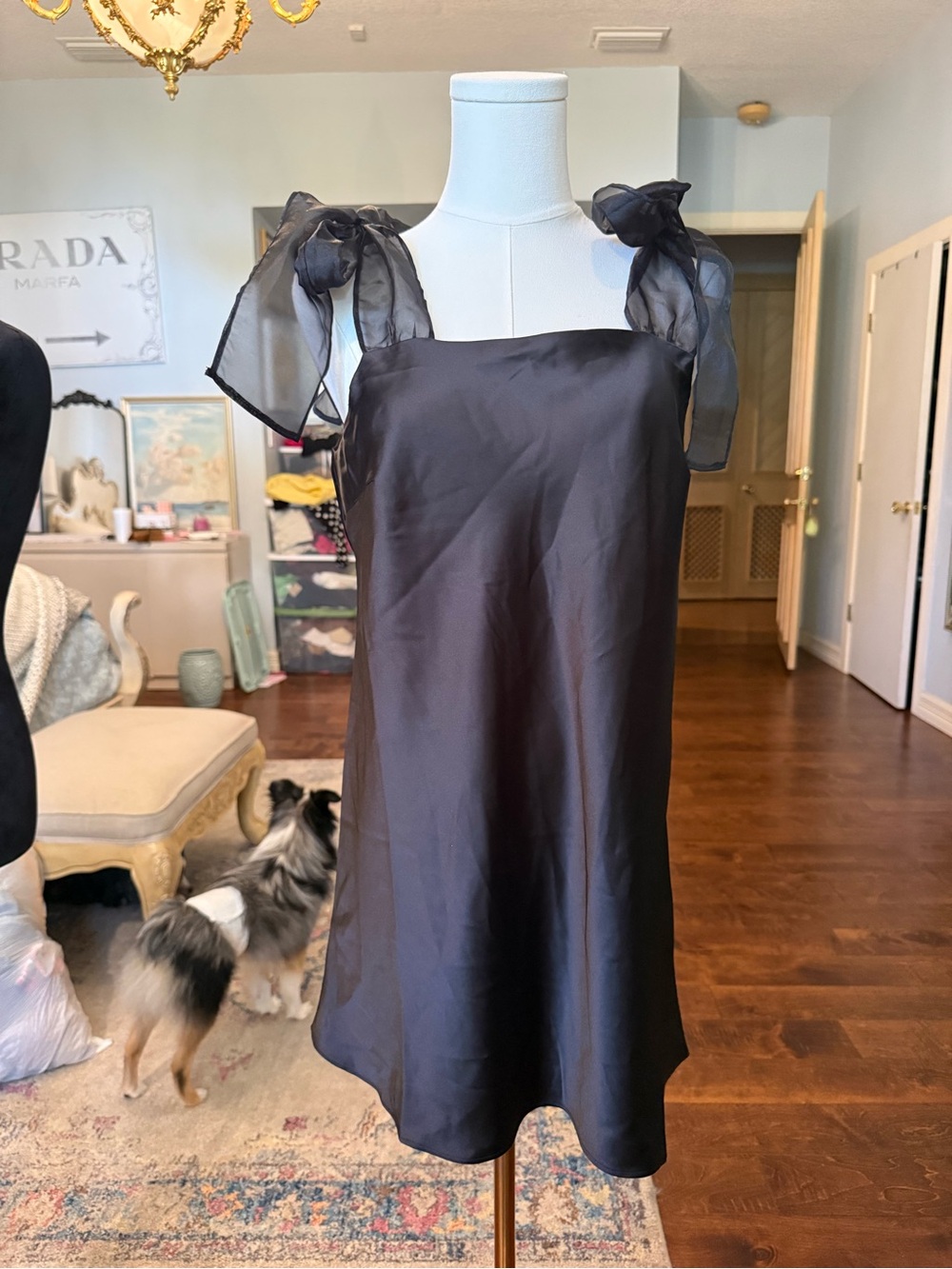 Sheer Tie-Strap Mini Dress in Black